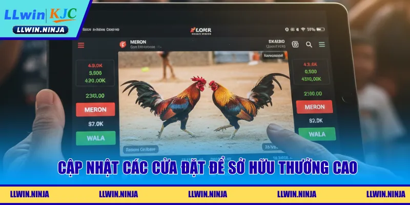 Cập nhật các cửa đặt để sở hữu thưởng cao