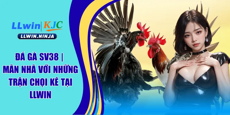 đá gà llwin