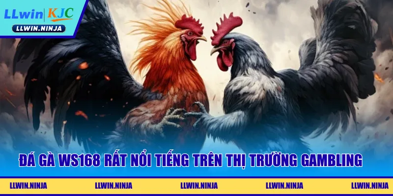Đá gà WS168 rất nổi tiếng trên thị trường gambling