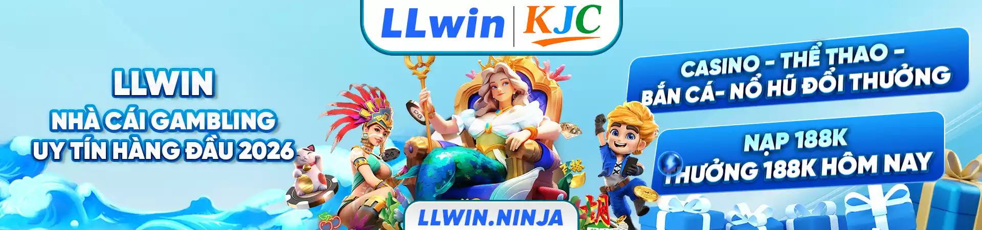 Banner LLwin
