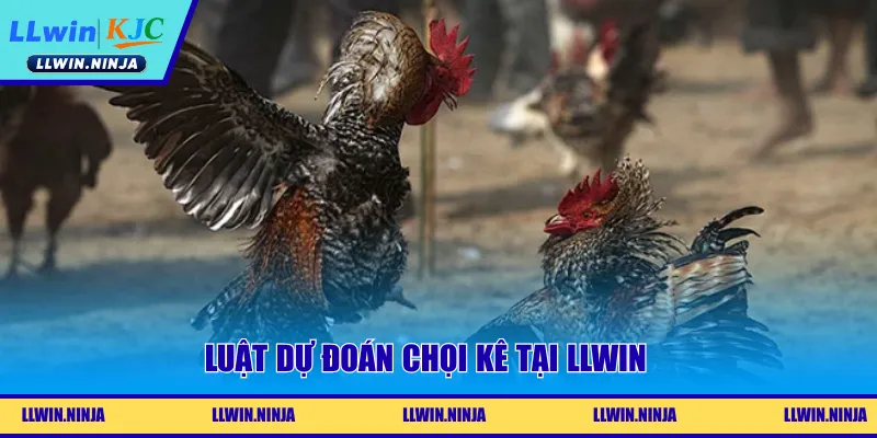 Luật dự đoán chọi kê tại LLwin