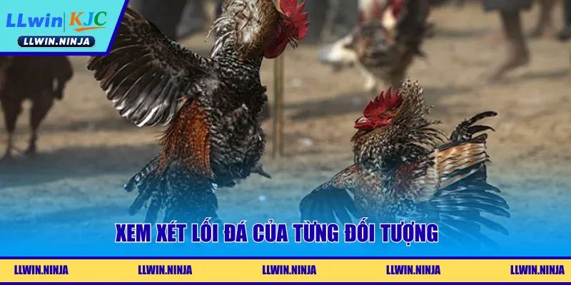 Xem xét lối đá của từng đối tượng